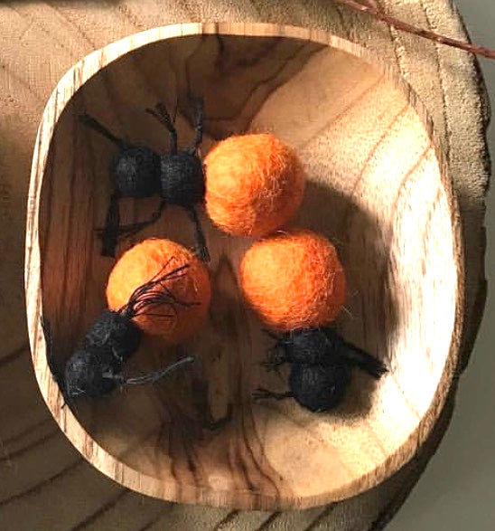 Bush Tucker Honey Ant and Coolamon Set