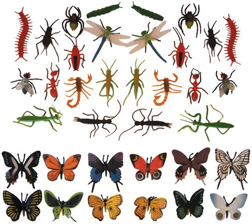 Butterflies and Assorted Insects 36pcs