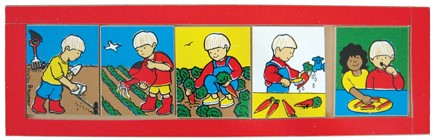 Healthy Eating Sequence Board - Carrots 5pcs