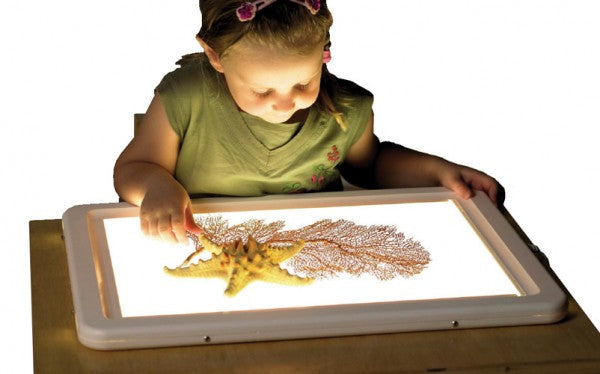 Illuminated Viewing Panel