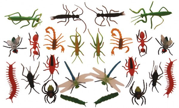 Insects Small 24pcs