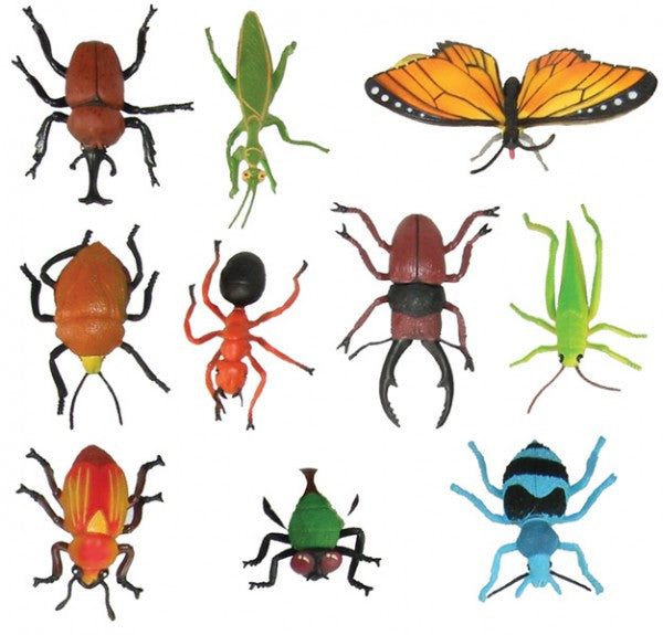 Insects Medium 10pcs