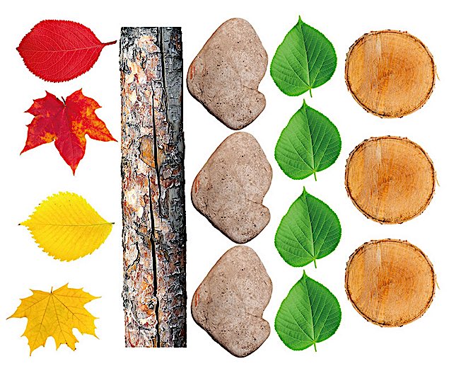 Nature’s Footsteps – Gross Motor Skills Balance Set (15pcs)