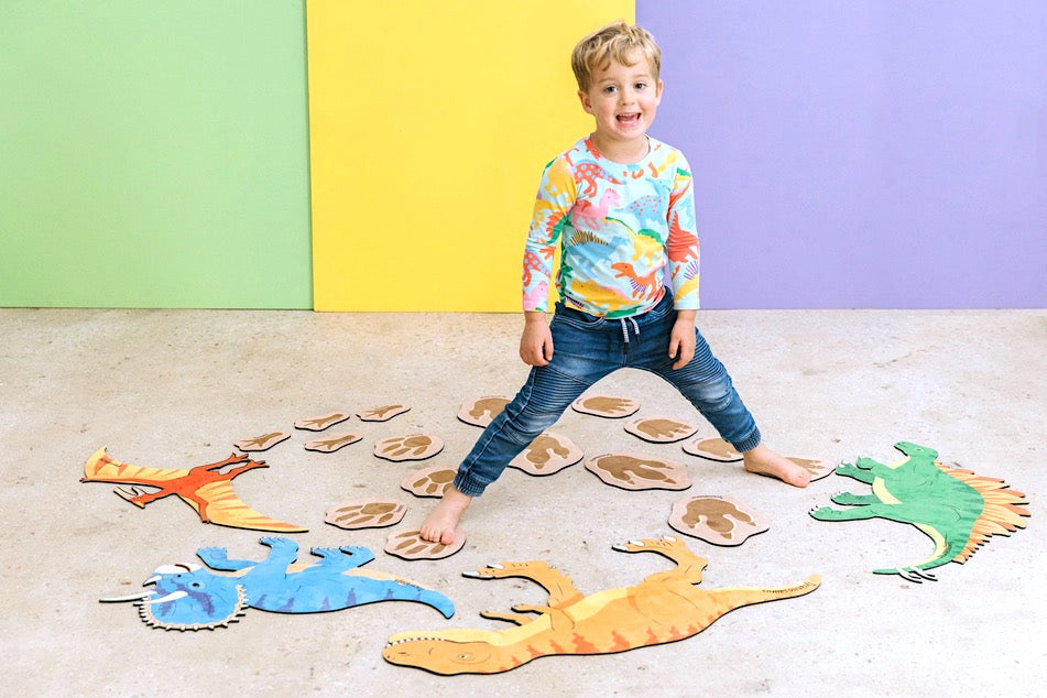 Chasing Dinosaurs and Their Footprints 20pcs