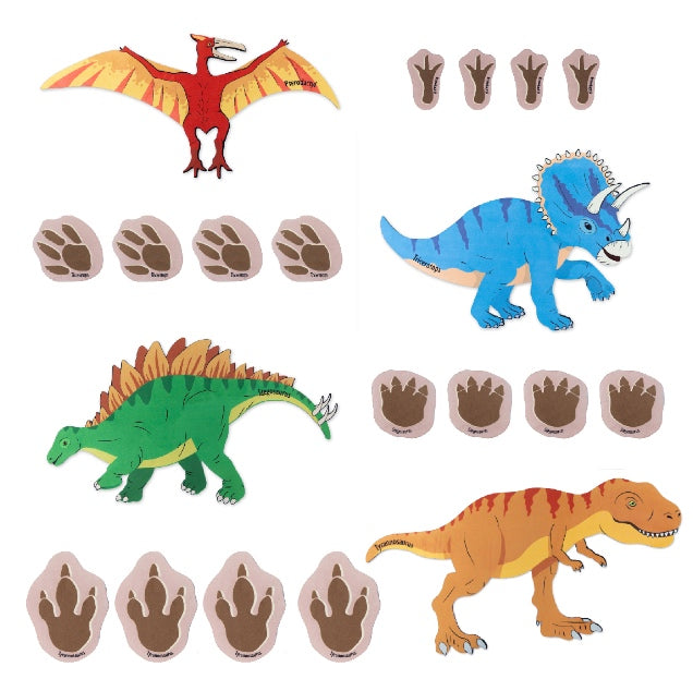 Chasing Dinosaurs and Their Footprints 20pcs