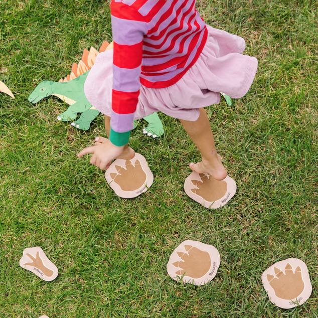 Chasing Dinosaurs and Their Footprints 20pcs