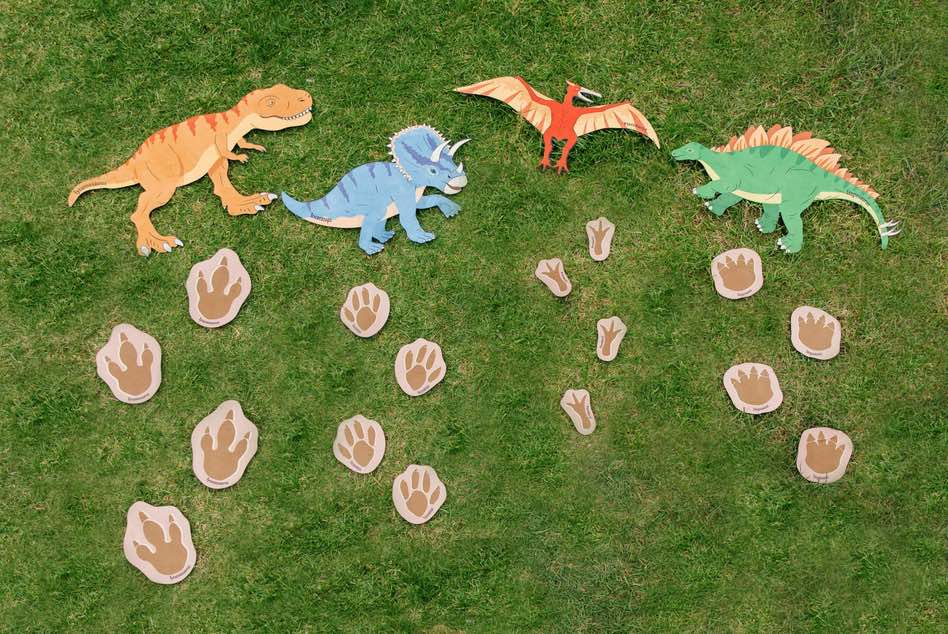 Chasing Dinosaurs and Their Footprints 20pcs