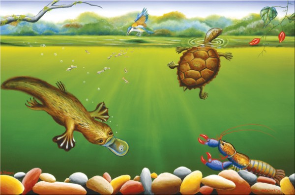 Lifestream Puzzle 48pcs