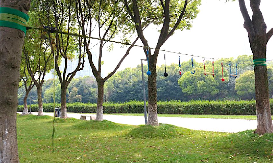 Ninja Complete Slackline Swinging Set