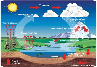 Large Water Cycle Puzzle 24pcs