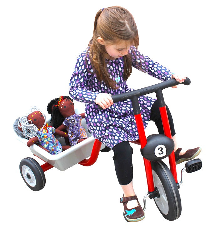 E Trike Striker With Rear Tray