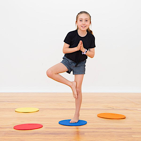 Colour Placement Discs 24pcs