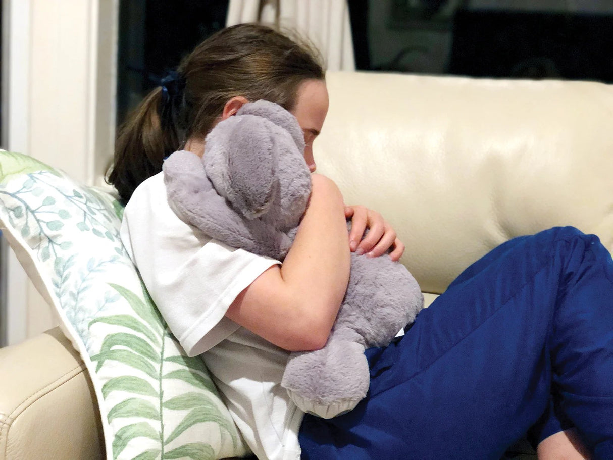 Weighted Koala Plush – Sensory Support Toy for Calming & Focus