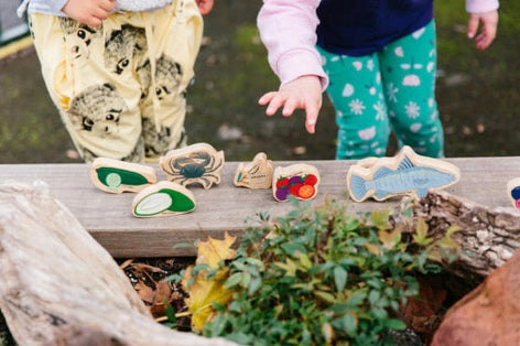 Wooden Bush Tucker Playset 10pcs