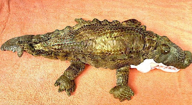 Crocodile Arm Puppet