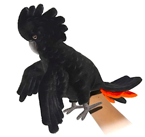 Red Tailed Black Cockatoo Full Body Puppet 49cm
