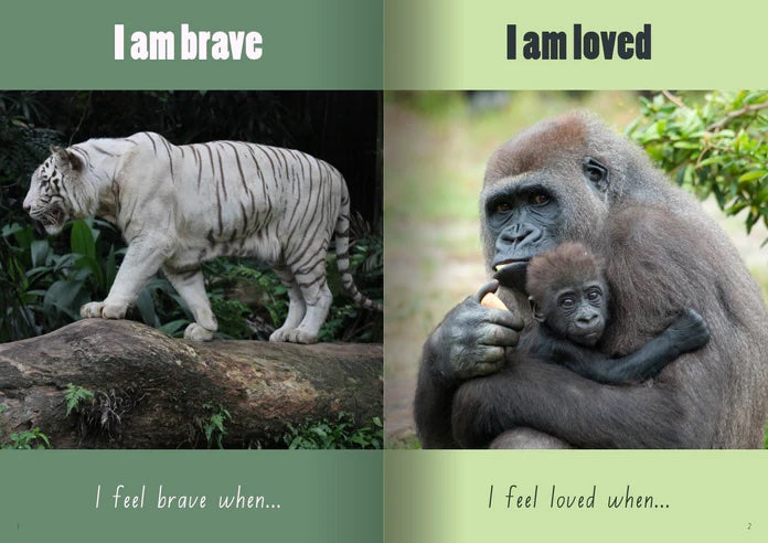 Big Book 'Positive Mindset Affirmations'