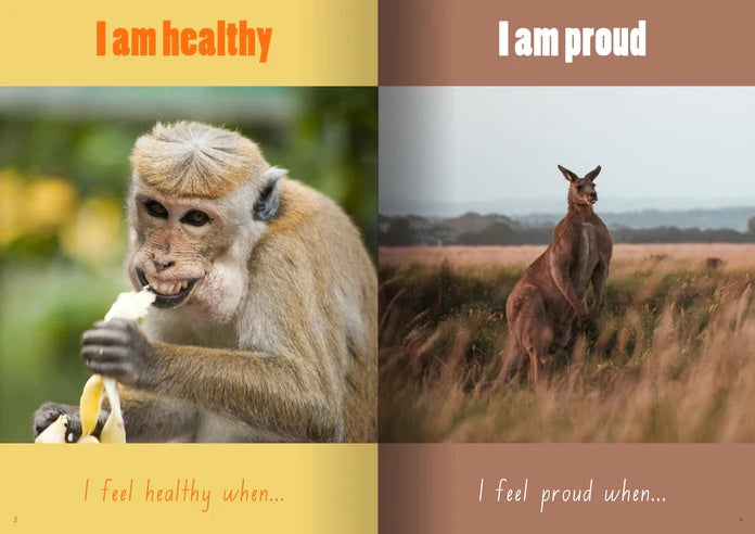 Big Book 'Positive Mindset Affirmations'