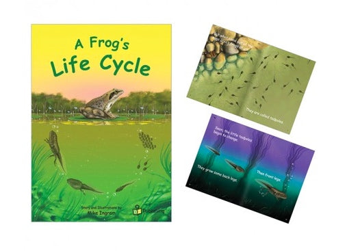 Big Book 'A Frog's Life Cycle'