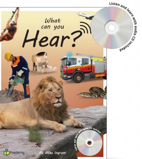 Big Book 'What Can You Hear?'