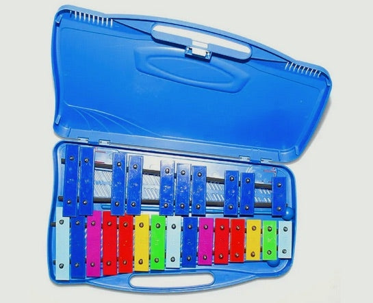 Glockenspiel In Case