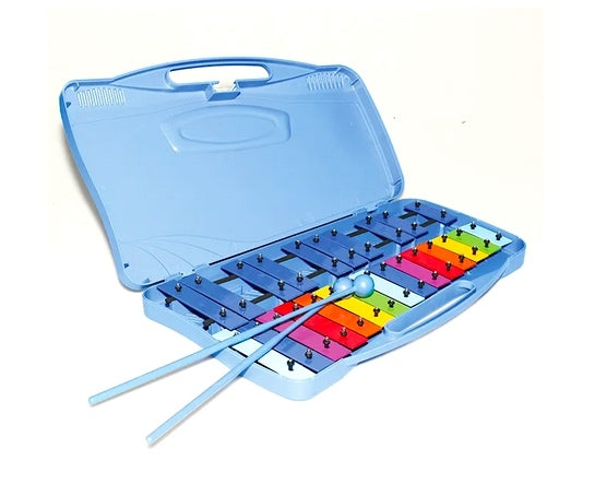 Glockenspiel In Case