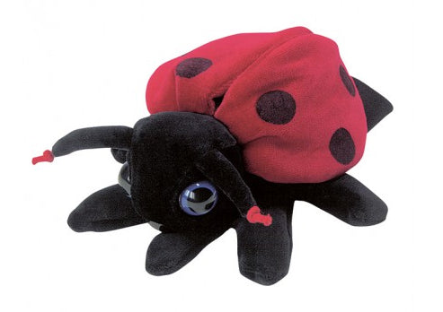 Latifa Ladybird Hand Puppet
