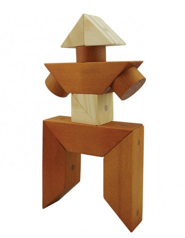 Wooden Magnetic Block Shapes Two Tone 30pcs