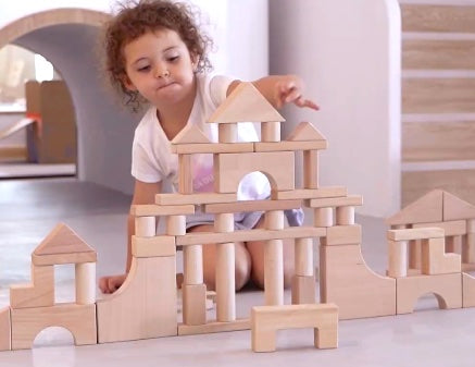 Solid Beech Timber Architecture Blocks 6 Trays 158pcs