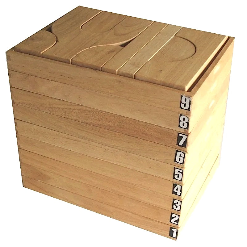 Project Blocks Nine Trays 207pcs