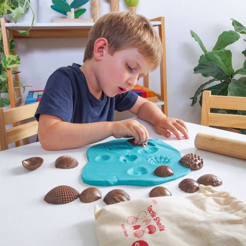 Tactile Seashells 36pcs