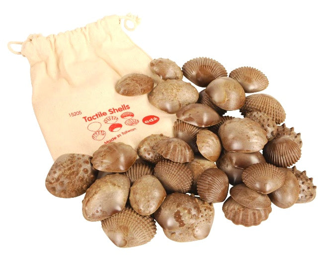 Tactile Seashells 36pcs