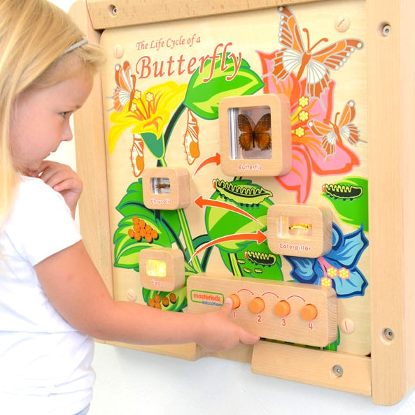 Activity Board - Light Up Life Cycle Butterfly