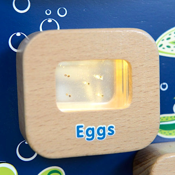 Activity Board - Light Up Life Cycle Frog