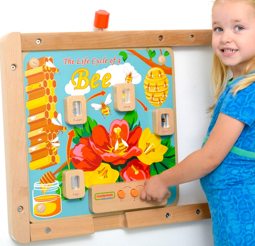 Light Up Life Cycle Bee Activity Board – STEM Learning Tool