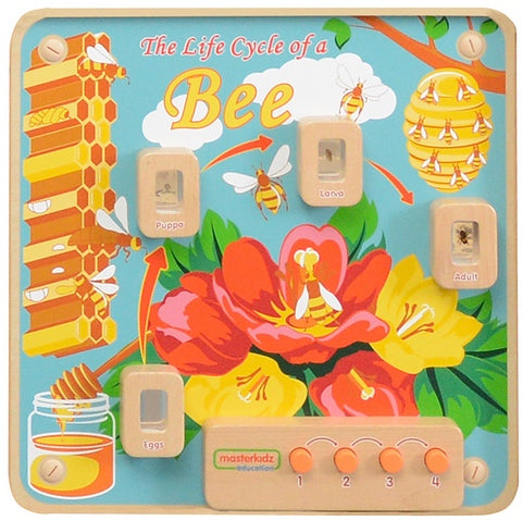 Light Up Life Cycle Bee Activity Board – STEM Learning Tool