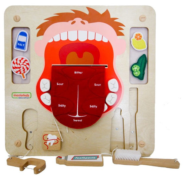 Activity Board - Oral Care