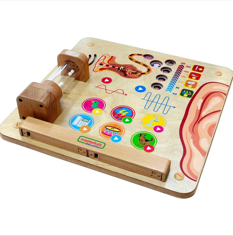 Activity Board - Sense of Hearing