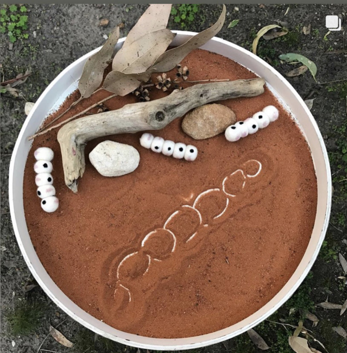 Witchetty Grubs with Coolamon Set