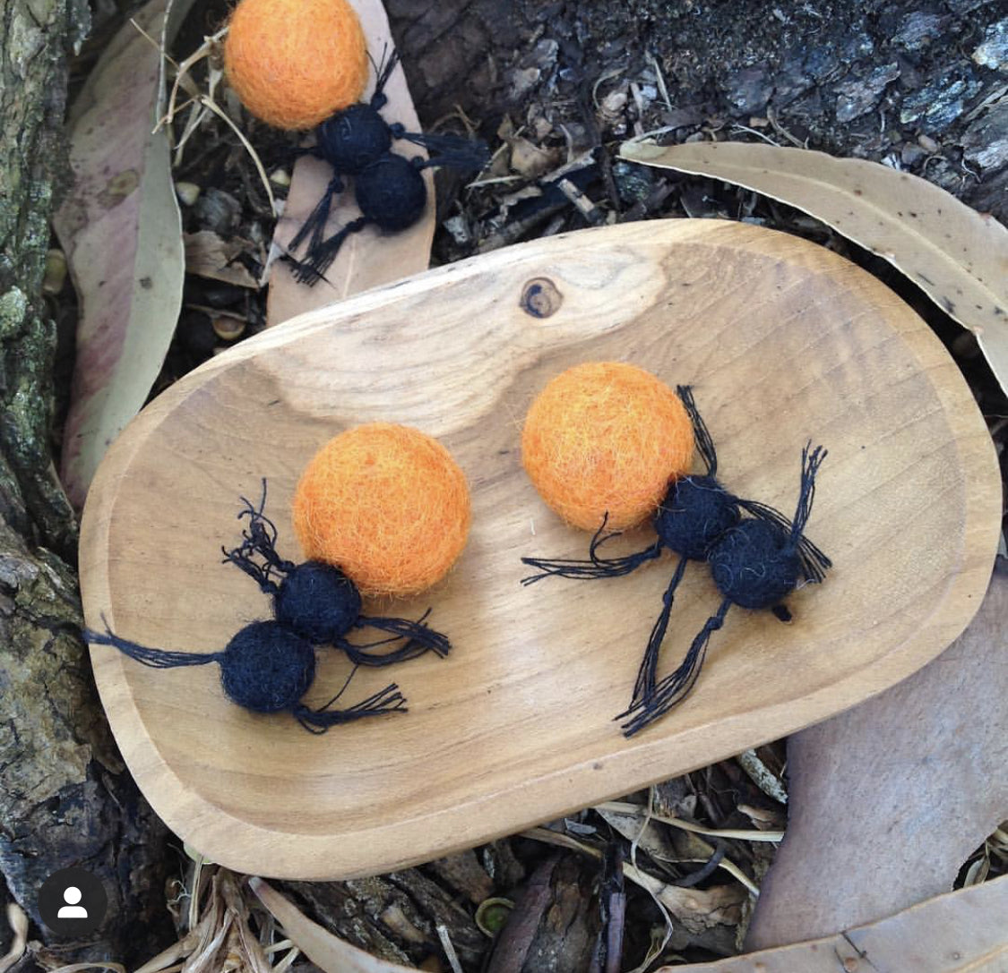 Bush Tucker Honey Ant and Coolamon Set