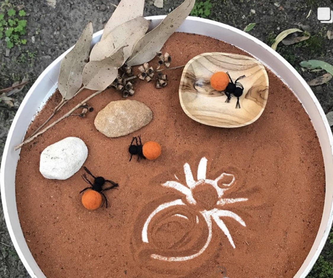 Bush Tucker Honey Ant and Coolamon Set