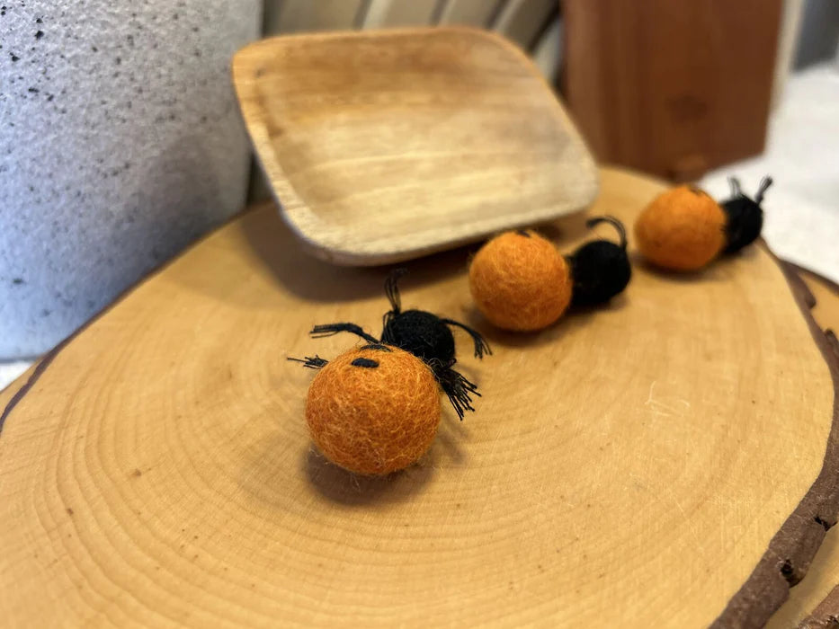 Bush Tucker Honey Ant and Coolamon Set