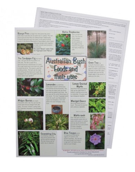 Indigenous Bush Foods and Their Uses A3 Poster