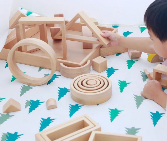 Froebel Inspired Pythagoras Block Set 29pcs