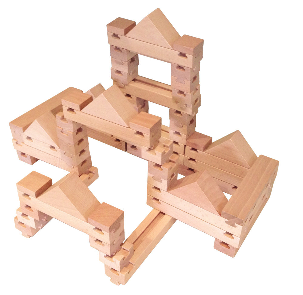 The Budding Builder 100pcs