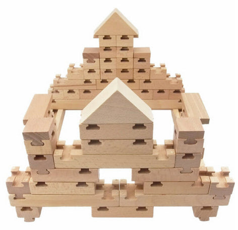 The Budding Builder 100pcs