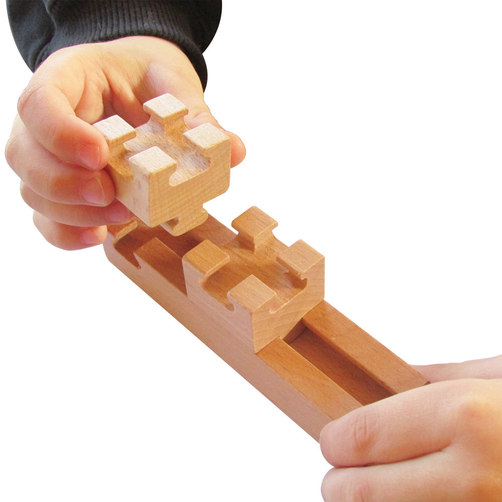 The Budding Builder 100pcs