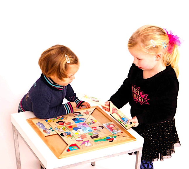 Spider Emotions Sorting Puzzle 17pcs