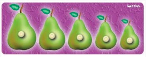 Knobbed Pear Sequence Puzzle 5pcs