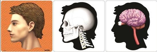 Inside My Head 3 Layer Puzzle 43pcs